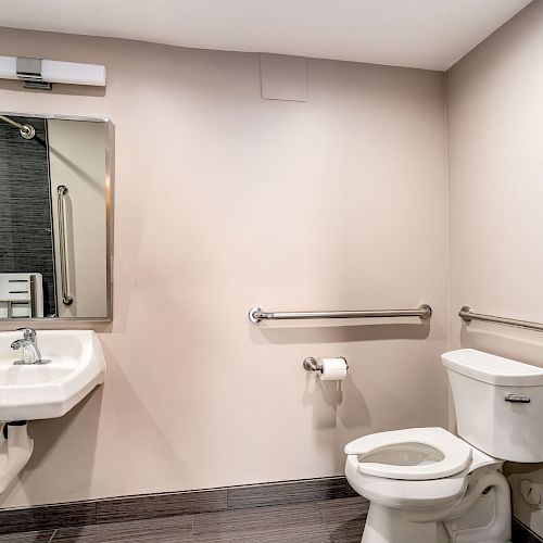 The image shows a clean, modern bathroom with a wall-mounted sink, a mirror, a toilet, and handrails for accessibility.