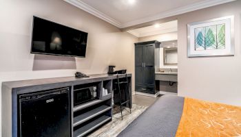 A hotel room features a wall-mounted TV, mini-fridge, desk, two chairs, a black wardrobe, a sink entryway, and framed leaf artwork on the wall.