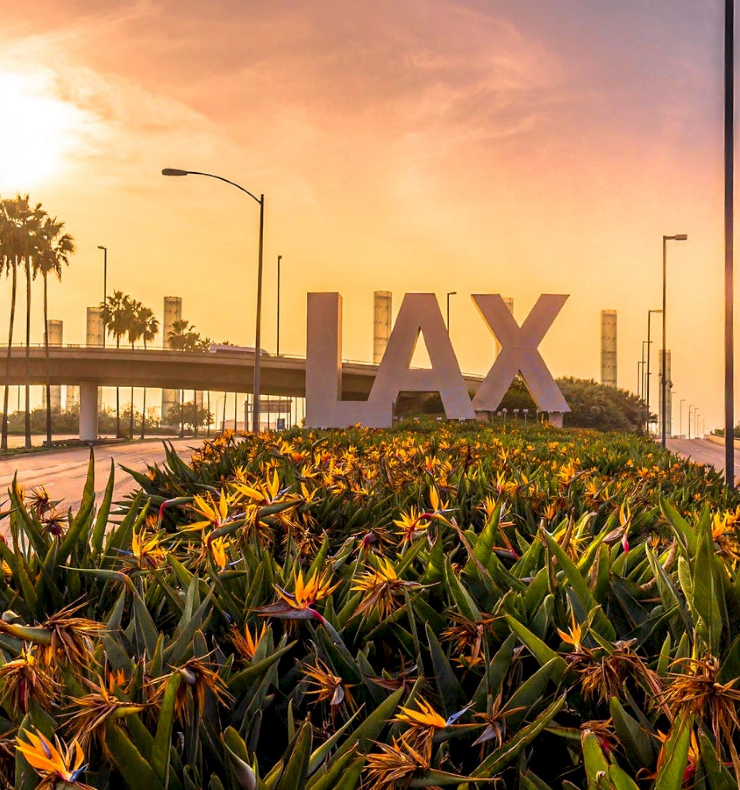 Large "LAX" letters amidst greenery and flowers at the entrance of Los Angeles International Airport during a sunset.